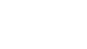 disney princess logo white 1593053_LG102